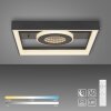 Traforo Plafonnier Luminaires Paul Neuhaus LED Noir, 1 lumière, Télécommandes