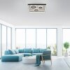 Dune Plafonnier Luminaires Paul Neuhaus LED Noir, 1 lumière, Télécommandes