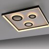 Dune Plafonnier Luminaires Paul Neuhaus LED Noir, 1 lumière, Télécommandes