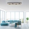 Dune Plafonnier Luminaires Paul Neuhaus LED Noir, 1 lumière, Télécommandes