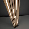 Q-Akustik Lampadaire Luminaires Paul Neuhaus LED Brun, Noir, 1 lumière, Télécommandes