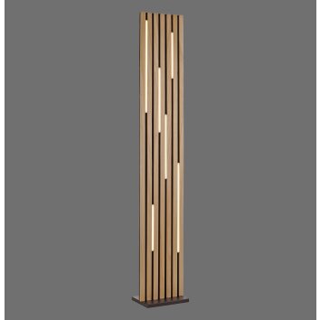 Q-Akustik Lampadaire Paul Neuhaus Q-Serie LED Brun, Noir, 1 lumière, Télécommandes Q-Akustik Lampadaire Paul Neuhaus Q-Serie LED Brun, Noir, 1 lumière, Télécommandes