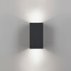 Block Applique murale Luminaires Paul Neuhaus LED Anthracite, 2 lumières