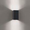 Block Applique murale Luminaires Paul Neuhaus LED Anthracite, 2 lumières