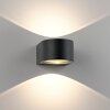 Carla Applique murale Luminaires Paul Neuhaus LED Anthracite, 2 lumières