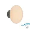 Olaf Applique murale / Plafonnier Luminaires Paul Neuhaus LED Gris, 1 lumière