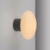 Olaf Applique murale / Plafonnier Luminaires Paul Neuhaus LED Gris, 1 lumière