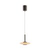 Vitrum Suspension Luminaires Paul Neuhaus LED Brun, 2 lumières