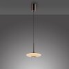 Vitrum Suspension Luminaires Paul Neuhaus LED Brun, 2 lumières