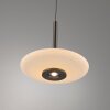 Vitrum Suspension Luminaires Paul Neuhaus LED Brun, 2 lumières