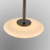 Vitrum Suspension Luminaires Paul Neuhaus LED Brun, 2 lumières