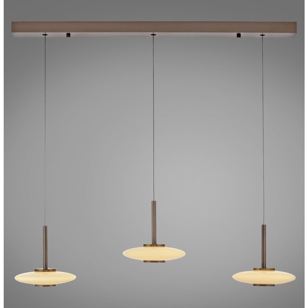 Vitrum Suspension Luminaires Paul Neuhaus LED Brun, 6 lumières main product photo