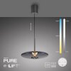 E-Vitrum Suspension Luminaires Paul Neuhaus LED Gris, 2 lumières, Télécommandes