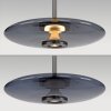 E-Vitrum Suspension Luminaires Paul Neuhaus LED Gris, 2 lumières, Télécommandes