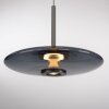 E-Vitrum Suspension Luminaires Paul Neuhaus LED Gris, 2 lumières, Télécommandes