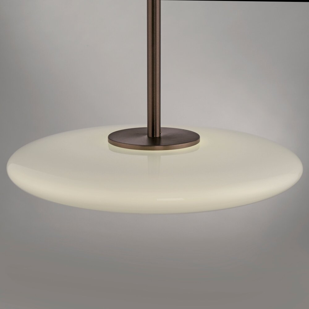 E-Vitrum Suspension Luminaires Paul Neuhaus LED Brun, 2 lumières, Télécommandes