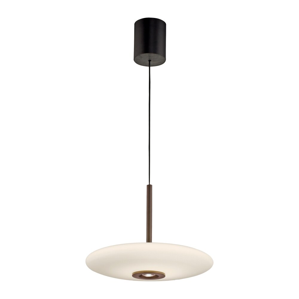 E-Vitrum Suspension Luminaires Paul Neuhaus LED Brun, 2 lumières, Télécommandes