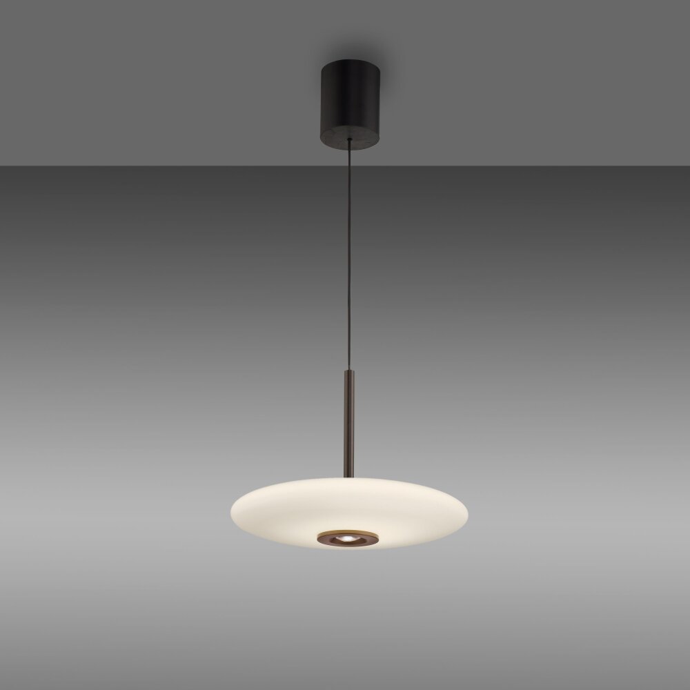 E-Vitrum Suspension Luminaires Paul Neuhaus LED Brun, 2 lumières, Télécommandes