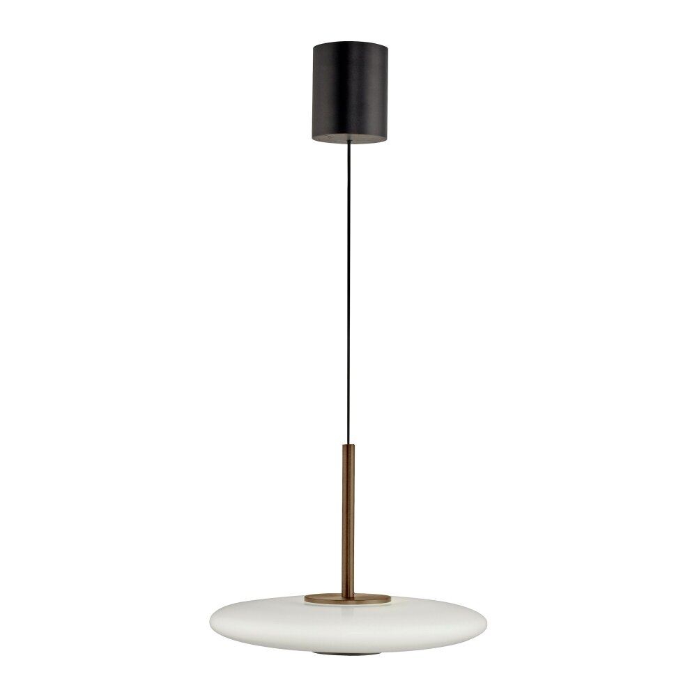 E-Vitrum Suspension Luminaires Paul Neuhaus LED Brun, 2 lumières, Télécommandes