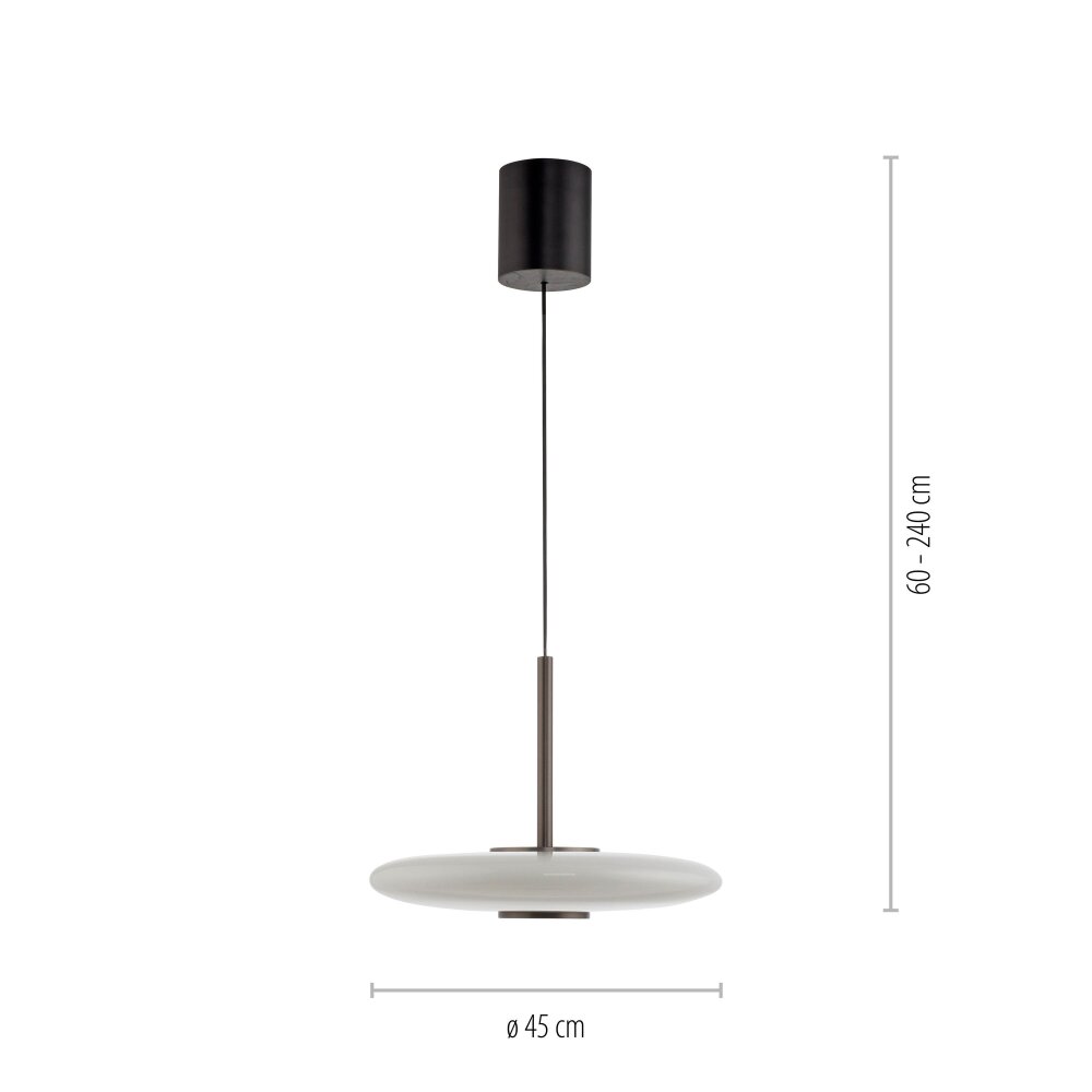 E-Vitrum Suspension Luminaires Paul Neuhaus LED Brun, 2 lumières, Télécommandes