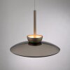 Moon Suspension Luminaires Paul Neuhaus LED Bronze, 6 lumières