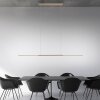 Surface Suspension Luminaires Paul Neuhaus LED Bronze, 1 lumière