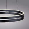 E-Loop Suspension Luminaires Paul Neuhaus LED Gris, 2 lumières, Télécommandes