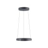 E-Clipse Suspension Luminaires Paul Neuhaus LED Gris, 2 lumières, Télécommandes