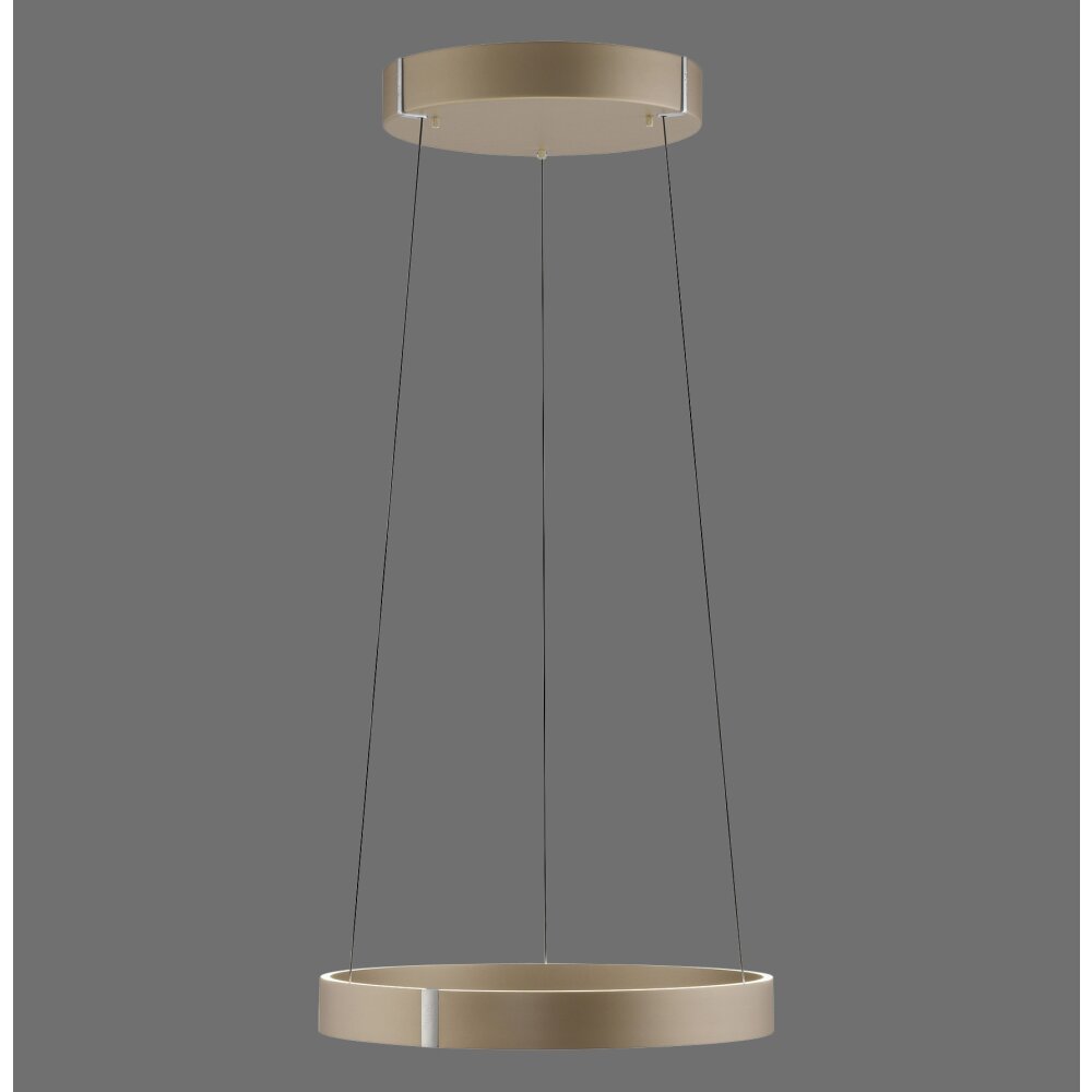 E-Clipse Suspension Luminaires Paul Neuhaus LED Bronze, 2 lumières, Télécommandes main product photo