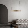 E-Clipse Suspension Luminaires Paul Neuhaus LED Bronze, 2 lumières, Télécommandes