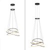 Rings Suspension Luminaires Paul Neuhaus LED Gris, 1 lumière, Télécommandes