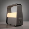 Go Lampe à poser Luminaires Paul Neuhaus LED Gris, 1 lumière