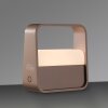 Go Lampe à poser Luminaires Paul Neuhaus LED Bronze, 1 lumière