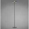 Vitrum Lampadaire Luminaires Paul Neuhaus LED Gris, 2 lumières