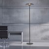 Vitrum Lampadaire Luminaires Paul Neuhaus LED Gris, 2 lumières