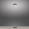 Vitrum Lampadaire Luminaires Paul Neuhaus LED Gris, 2 lumières