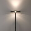 Vitrum Lampadaire Luminaires Paul Neuhaus LED Gris, 2 lumières