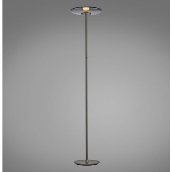 Vitrum Lampadaire Luminaires Paul Neuhaus LED Gris, 2 lumières