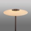 Vitrum Lampadaire Luminaires Paul Neuhaus LED Brun, 2 lumières