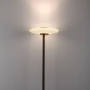 Vitrum Lampadaire Luminaires Paul Neuhaus LED Brun, 2 lumières