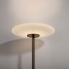 Vitrum Lampadaire Luminaires Paul Neuhaus LED Brun, 2 lumières