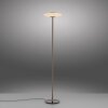 Vitrum Lampadaire Luminaires Paul Neuhaus LED Brun, 2 lumières