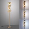 Popup Lampadaire Luminaires Paul Neuhaus LED Bronze, 12 lumières