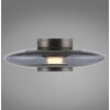 Vitrum Applique murale / Plafonnier Luminaires Paul Neuhaus LED Gris, 1 lumière