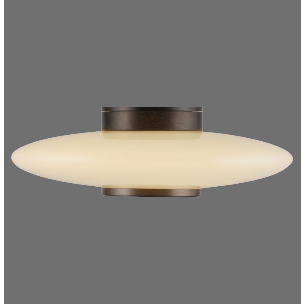 Vitrum Applique murale / Plafonnier Luminaires Paul Neuhaus LED Brun, 1 lumière main product photo
