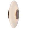 Vitrum Applique murale / Plafonnier Luminaires Paul Neuhaus LED Brun, 1 lumière