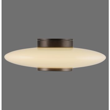 Vitrum Applique murale / Plafonnier Luminaires Paul Neuhaus LED Brun, 1 lumière