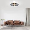 Vitrum Plafonnier Luminaires Paul Neuhaus LED Gris, 2 lumières