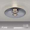 Vitrum Plafonnier Luminaires Paul Neuhaus LED Gris, 2 lumières