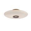 Vitrum Plafonnier Luminaires Paul Neuhaus LED Brun, 2 lumières